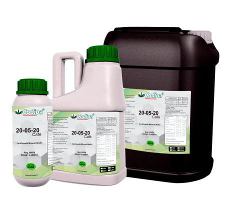20-05-20 CAFE PRODUTOS-SITE