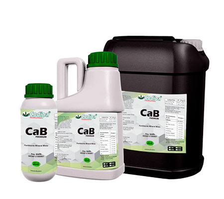 CAB Premium